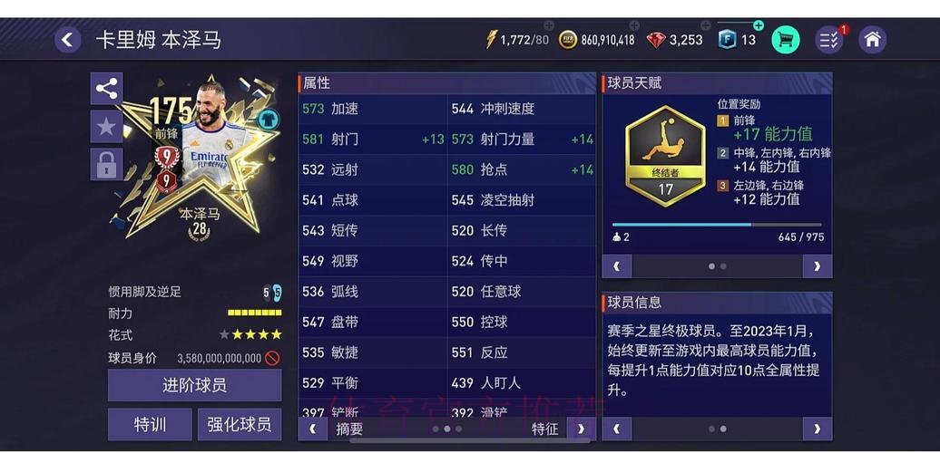 世界杯体育平台全方位推荐指南